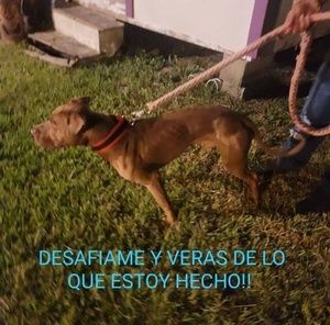 Meet your Posher, Xochil